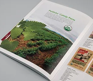 Newsletters