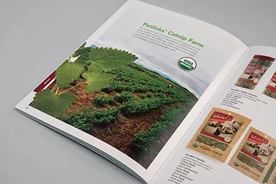 Newsletters