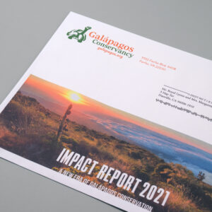 Booklet Envelopes