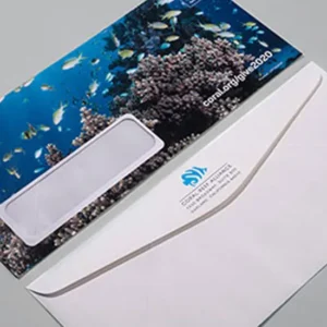 Business Envelopes