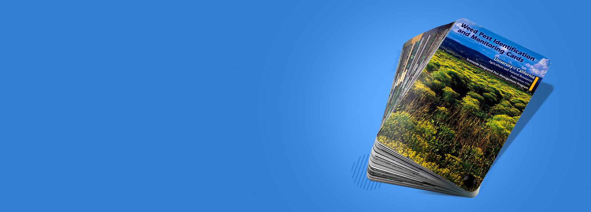 How do brochures support face-to-face sales interactions