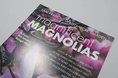 High-quality printed materials showcase